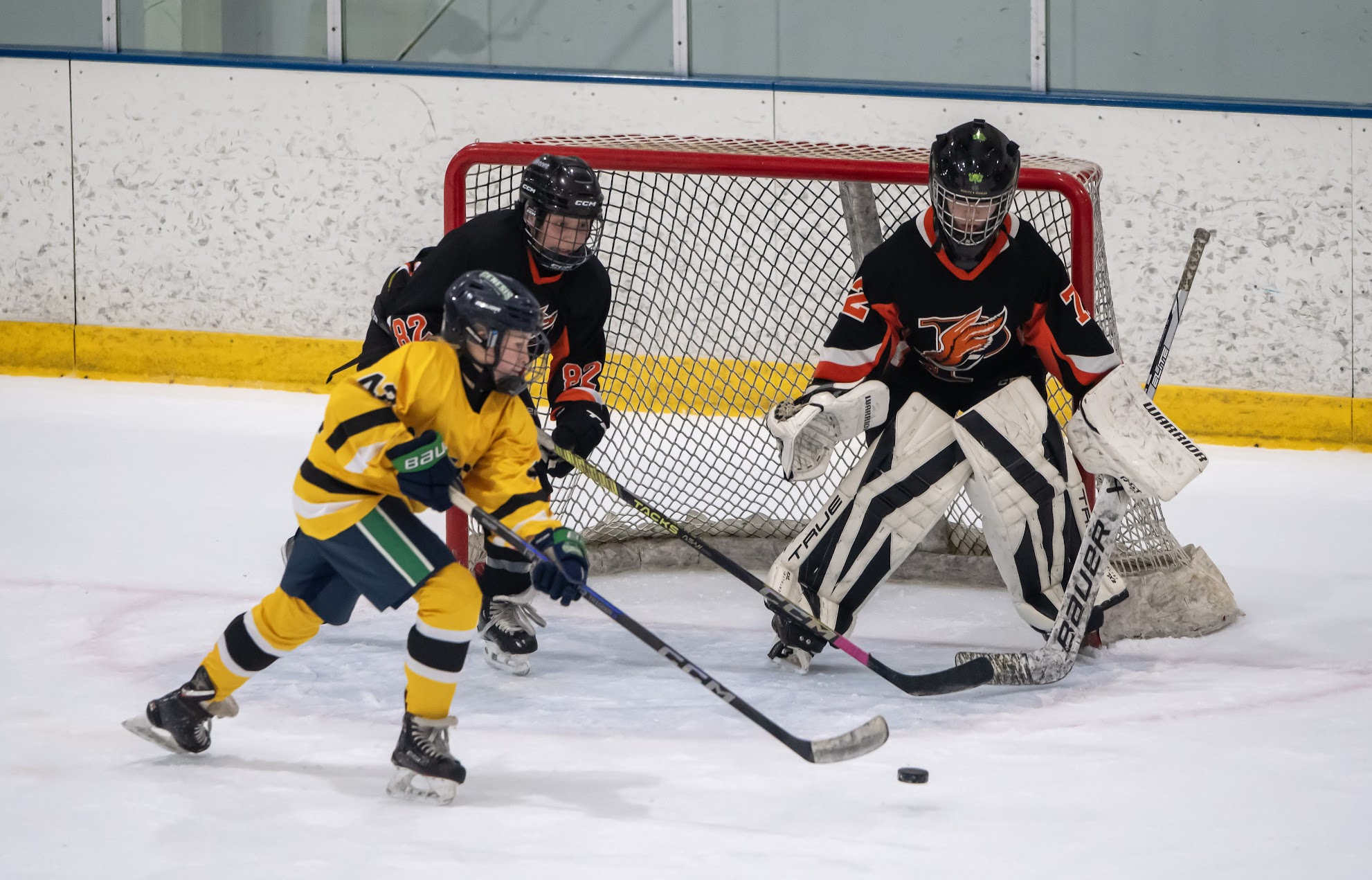 CB West Ice Hockey game photo 3